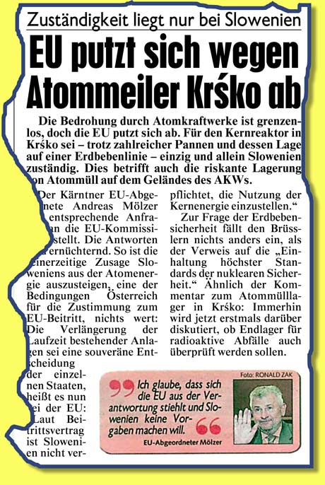 Bild: Ausriß 'Kronen Zeitung'