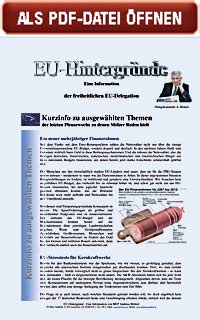 Zum Aufrufen der PDF-Datei bitte auf das Bild klicken