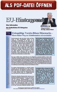 Zum Aufrufen der PDF-Datei bitte auf das Bild klicken